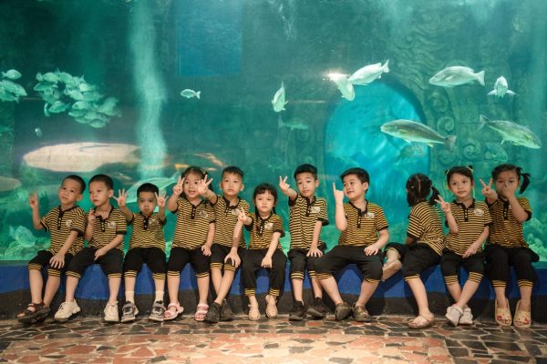 7 địa điểm dã ngoại cho trẻ em gần Hà Nội