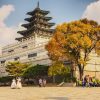 TOUR HÀN QUỐC : ĐẢO NAMI- THÁP NAMSAN- CUNG ĐIỆN GYEONGBOK- CÔNG VIÊN GIẢI TRÍ EVERLAND - LÀNG CỔ NAMSAN HANOK- THƯ VIỆN STARFIELD