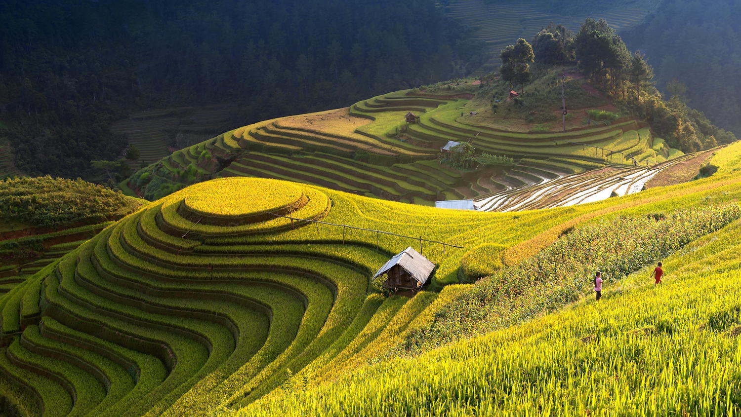 TOUR HÀ NỘI - HÀ GIANG - CAO NGUYÊN ĐÁ - HÀ NỘI ĐÈO MÃ PÌ PÈNG - CỘT CỜ LŨNG CÚ - NGỦ ĐÊM LÔ LÔ CHẢI